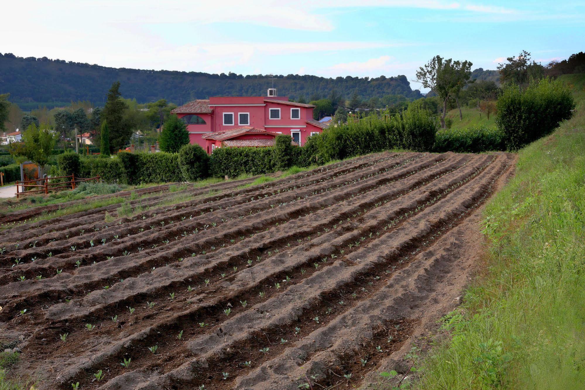 Agriturismo San Martino Pozzuoli Eksteriør billede